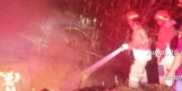 Diduga Gegara Bakar Ban, Lahan Bambu di Cileungsi Terbakar 