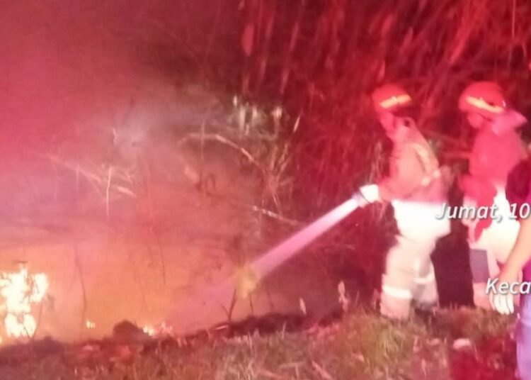 Diduga Gegara Bakar Ban, Lahan Bambu di Cileungsi Terbakar 