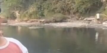 Sungai Cileungsi-Gunungputri Menghitam dan Bau, DLH Bakal Inspeksi
