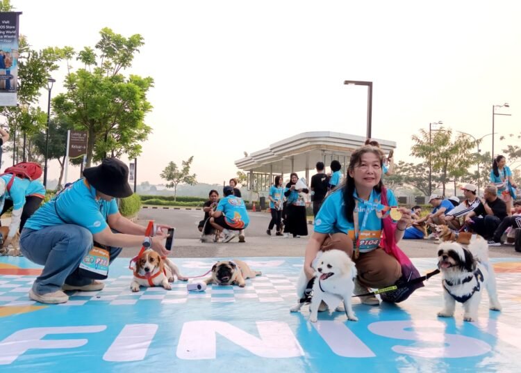 PAWJOG 9 di Kota Wisata Cibubur, Hadirkan Keseruan bagi Ratusan Pawrents dan Anabul