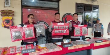 Polres Cianjur Bongkar Jaringan Ganja Lintas Daerah, Sita 14,8 Kg Ganja dan Kejar 2 DPO