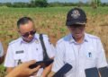 PSEL Kayumanis Bukan Hanya Tangani Solusi Sampah, Beri Peluang Lapangan Kerja untuk Warga 