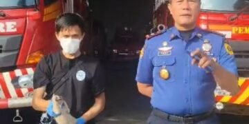 Niat Nyari Burung, Warga Tanjungsari Malah Temukan Kukang Jawa