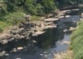 Uji Lab Dilakukan, 5 Perusahaan yang Diduga Cemari Sungai Cileungsi-Gunungputri Terancam Disegel 