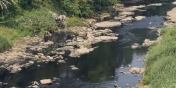 Uji Lab Dilakukan, 5 Perusahaan yang Diduga Cemari Sungai Cileungsi-Gunungputri Terancam Disegel 