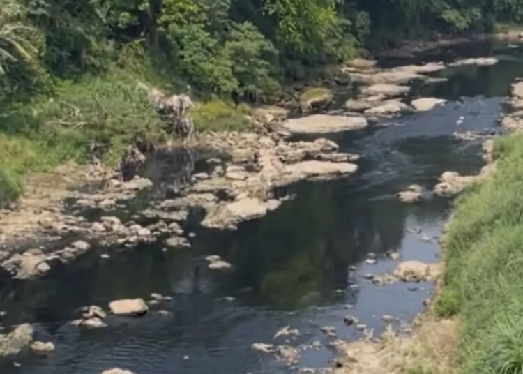 Uji Lab Dilakukan, 5 Perusahaan yang Diduga Cemari Sungai Cileungsi-Gunungputri Terancam Disegel