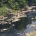 Uji Lab Dilakukan, 5 Perusahaan yang Diduga Cemari Sungai Cileungsi-Gunungputri Terancam Disegel 