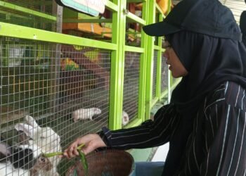Pembangunan Mini Zoo di Pakansari Batal Direalisasikan Tahun Ini
