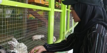 Pembangunan Mini Zoo di Pakansari Batal Direalisasikan Tahun Ini