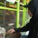 Pembangunan Mini Zoo di Pakansari Batal Direalisasikan Tahun Ini