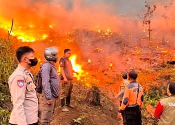 18 Ha Lahan Perhutani di Jampangtengah Terbakar, Api Masih Belum Padam