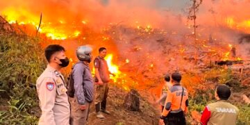 18 Ha Lahan Perhutani di Jampangtengah Terbakar, Api Masih Belum Padam