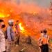 18 Ha Lahan Perhutani di Jampangtengah Terbakar, Api Masih Belum Padam