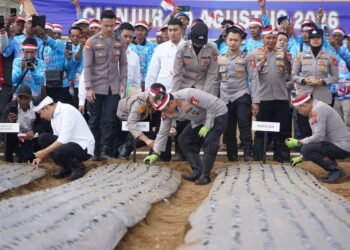 Wakapolri Pimpin Penanaman Bawang Putih Serentak di Cianjur, Dukung Swasembada Pangan