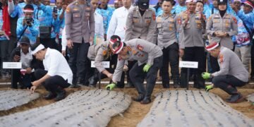 Wakapolri Pimpin Penanaman Bawang Putih Serentak di Cianjur, Dukung Swasembada Pangan