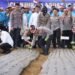 Wakapolri Pimpin Penanaman Bawang Putih Serentak di Cianjur, Dukung Swasembada Pangan