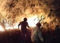 Tempat Penggilingan Plastik di Cileungsi Terbakar, Damkar Berjibaku Lakukan Pemadaman