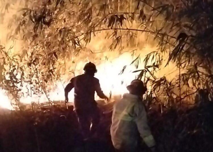 Tempat Penggilingan Plastik di Cileungsi Terbakar, Damkar Berjibaku Lakukan Pemadaman