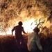 Tempat Penggilingan Plastik di Cileungsi Terbakar, Damkar Berjibaku Lakukan Pemadaman