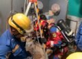 Hirup Gas Beracun saat Gali Sumur, Pria di Parung Tewas