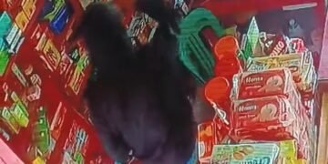 Pencurian Toko di Cianjur Terekam CCTV, Pelaku Pura-Pura Belanja dan Rugikan Korban Rp6 Juta