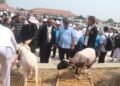 Pasar Hewan Jonggol Diresmikan, Pusat Pertumbuhan Ekonomi di Timur Kabupaten Bogor Dikembangkan