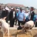Pasar Hewan Jonggol Diresmikan, Pusat Pertumbuhan Ekonomi di Timur Kabupaten Bogor Dikembangkan