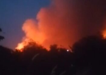 Perkebunan Dekat TPA Galuga Terbakar, Akses Jalan Jadi Kendala Pemadaman