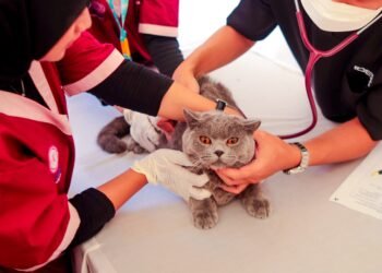 World Rabies Day 2026 Diperingati, Pemerintah Kejar Target Bebas Rabies 2030