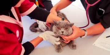 World Rabies Day 2026 Diperingati, Pemerintah Kejar Target Bebas Rabies 2030