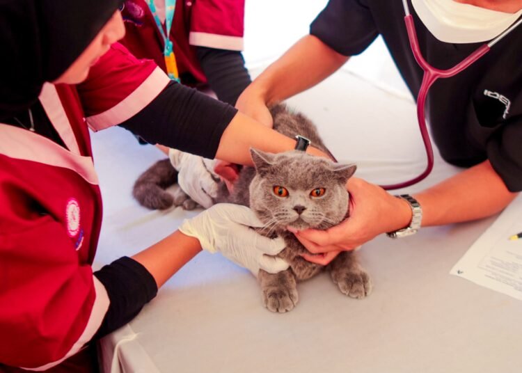 World Rabies Day 2026 Diperingati, Pemerintah Kejar Target Bebas Rabies 2030