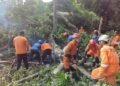 6 Pohon Tumbang di Bogor Timur, 4 Orang Terluka 