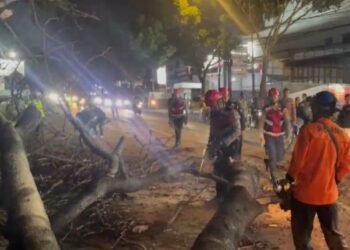 Pohon Tua Tumbang di Jalan Raya Bandung Cianjur, 3 Orang Terluka