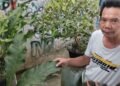 Erupsi Anak Krakatau, Debu Vulkanik Masuk Wilayah Sukabumi Sejak Sabtu Siang