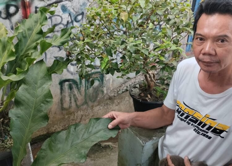 Erupsi Anak Krakatau, Debu Vulkanik Masuk Wilayah Sukabumi Sejak Sabtu Siang