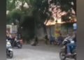 Ngeri, Bacok-bacokan di Jalan Raya Sukabumi-Cianjur Viral, Jadi Tontonan Warga