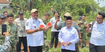Lahan Bomang Jadi Pertanian, Pemkab Bogor Buka Peluang Masyarakat Berwirausaha 