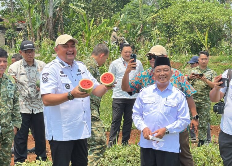 Lahan Bomang Jadi Pertanian, Pemkab Bogor Buka Peluang Masyarakat Berwirausaha 