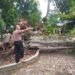 Angin Kencang Robohkan Pohon Beringin 25 Meter, Timpa Kantor Kecamatan Kadudampit