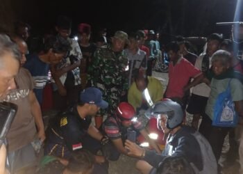 Dua Buaya Terjerat Jaring Di Simpenan,Petugas Damkar Evakuasi