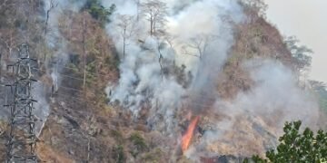Api Lahap Gunung Jayanti Palabuhanratu, 2 Unit Damkar Siaga