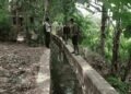 Air Tak Sampai ke Sawah! Irigasi Citepus Palabuhanratu Bocor, 50 Hektare Sawah Petani Terancam Gagal Panen