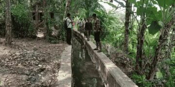Air Tak Sampai ke Sawah! Irigasi Citepus Palabuhanratu Bocor, 50 Hektare Sawah Petani Terancam Gagal Panen