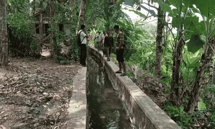 Air Tak Sampai ke Sawah! Irigasi Citepus Palabuhanratu Bocor, 50 Hektare Sawah Petani Terancam Gagal Panen