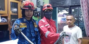 Mulai Musim Penghujan Ular Masuk Rumah di Cibeureum Sukaraja, Damkar Posko 7 Evakuasi