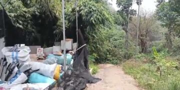 Jalan Setapak yang Diduga ‘Jalur Tikus’ untuk Napi di Lapas Cibinong Dipenuhi Lorong Bambu