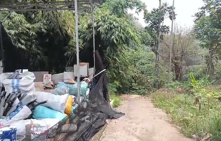 Jalan Setapak yang Diduga ‘Jalur Tikus’ untuk Napi di Lapas Cibinong Dipenuhi Lorong Bambu