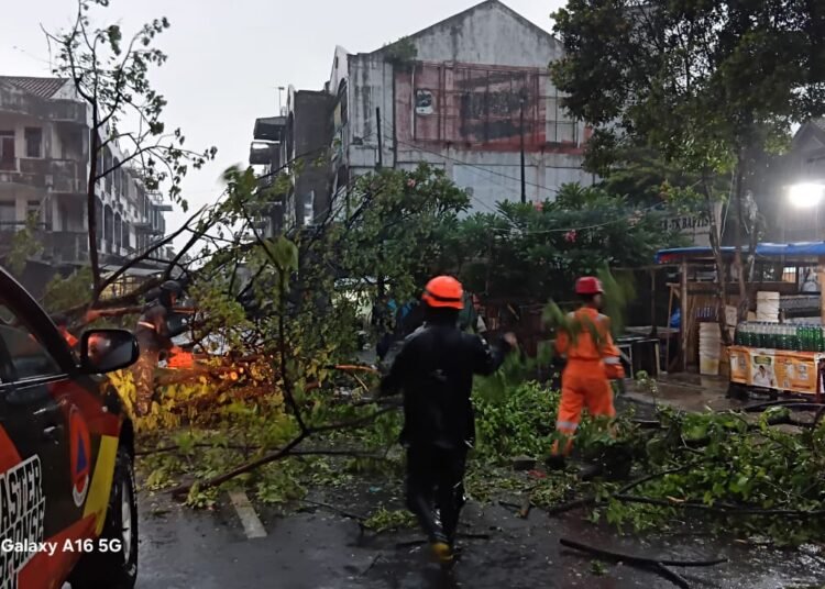 Diguyur Hujan Lebat, BPBD Kota Bogor Tangani 6 Kejadian Bencana 
